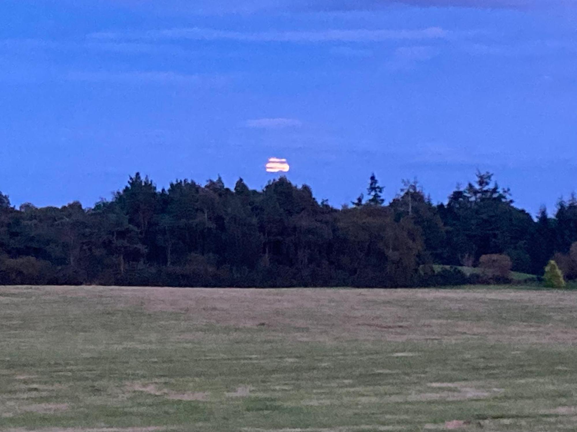 Clashmore Wood Dornoch Exterior photo